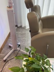 -碧莲盛·不剃发植发