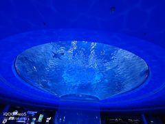 -上海海昌海洋公园