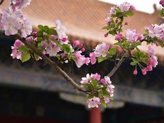 -明十三陵