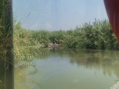 -泗洪洪泽湖湿地景区