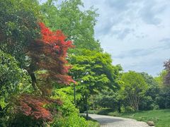 -杭州植物园