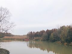 -溱湖国家湿地公园