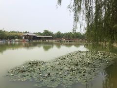 -兴芮温泉度假区