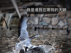 -北京动物园