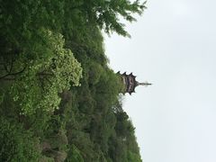 iphone_upload_pic-焦山风景区
