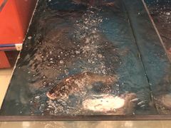 -崔记生活·铁锅炖鱼粘卷子(总店)