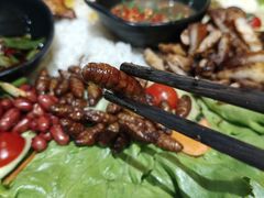 -品德宏·孔雀宴的发源地(金塔园店)