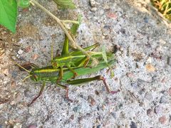 -蟠龙山长城景区