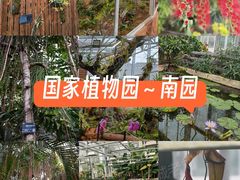 -国家植物园南园