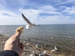 -青海湖二郎剑景区