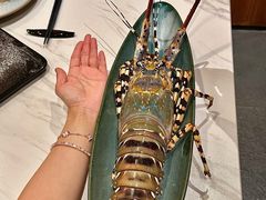 -月下料理(楷林IFC店)