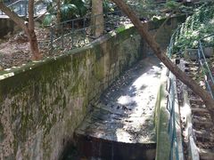 -香港大学