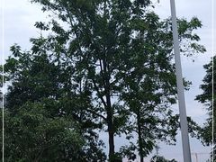 -云里小坐·小院里·团建·宴请·下午茶(三圣乡店)