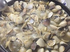 卜卜贝-顺德哥卜卜贝(旗舰店)