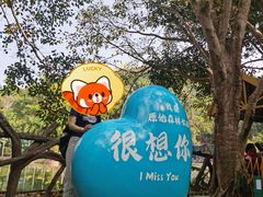 -西双版纳原始森林公园