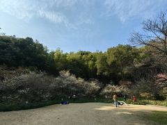 -杭州植物园