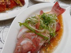 -東海薈。拉斐特(青衣城店)