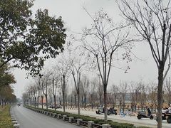 -洛阳市隋唐城遗址植物园