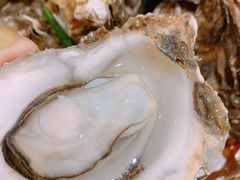 竹篮生蚝-全渔村小海鲜