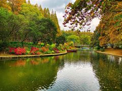 -上海共青森林公园