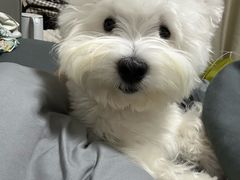 -狗舍宠物医院(四季商业广场店)