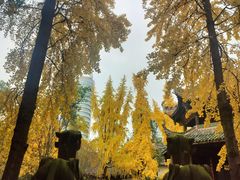 -白鹭湾湿地公园