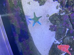 -江和美海洋公园