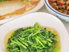 -蟹天蟹地农家菜·阳澄湖大闸蟹(浅水湾店)