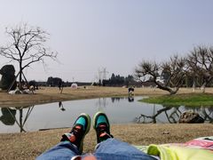 -夏河溪乡野公园