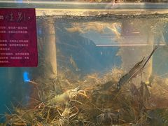 -钳真多钓虾馆·小龙虾海鲜烧烤(九六广场店)
