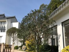 -谷丰健康凤贤居酒家