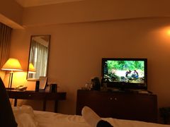 -成都天府丽都喜来登饭店