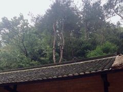 -韶山毛泽东同志故居