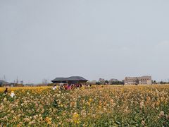 -中国天府农业博览园