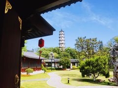 -江心屿景区