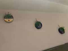 用餐区-火上燎爆炒·烧烤·小龙虾(长虹国际城店)