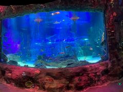 -沈阳海洋探索中心