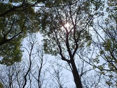 -白塘生态植物园