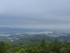 -水濂山森林公园