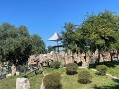 -石家庄市动物园