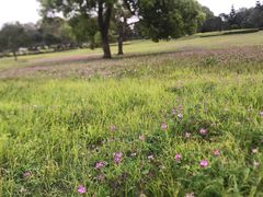 -福建鲤鱼洲酒店