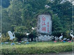 -广州白江湖森林公园