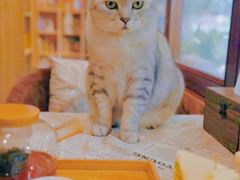 -隅cafe(傅厚岗店)