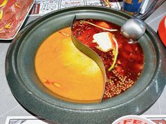 -生活如沸·顺德水牛奶火锅(大学路店)