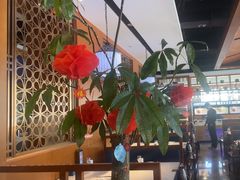 -蒙都43°9羊火锅·赤峰美食(宁城店)
