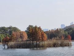 -上海市保健医疗中心