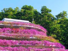 -深圳仙湖植物园