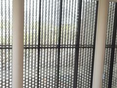 -四川大学博物馆