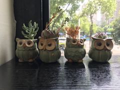 -爸爸糖吐司面包(南京奥体店)