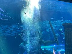 -波塞冬旅游度假区